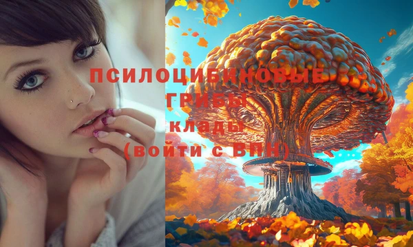 тгк Алексеевка