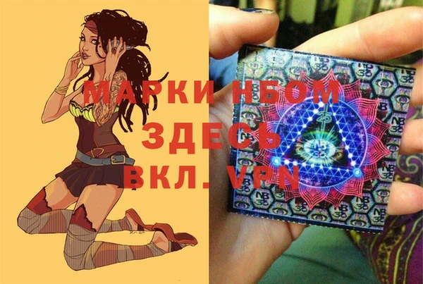 ECSTASY Алзамай