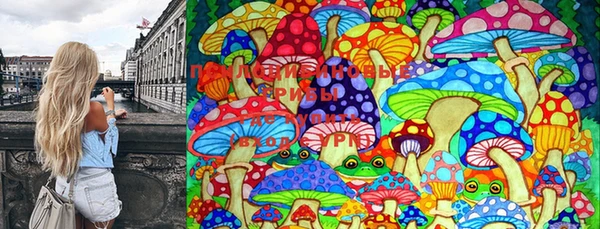 тгк Алексеевка