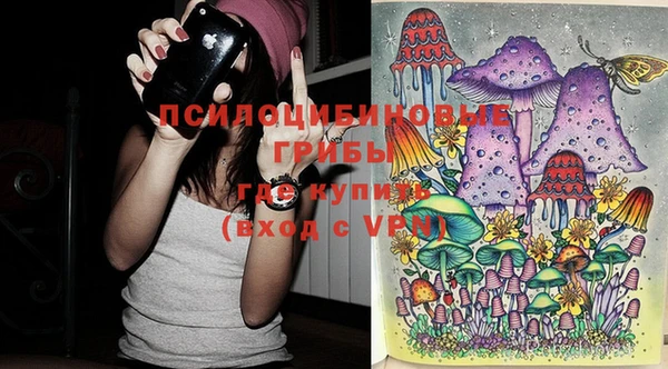 ECSTASY Алексин