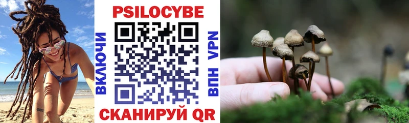 Псилоцибиновые грибы ЛСД  купить  цена  Новосиль 
